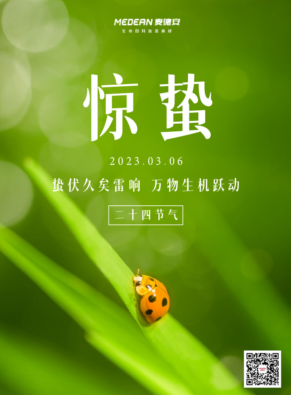 2a06825d56bd9e4c60009644ffc5438.png